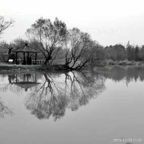 傍花村与瘦西湖
