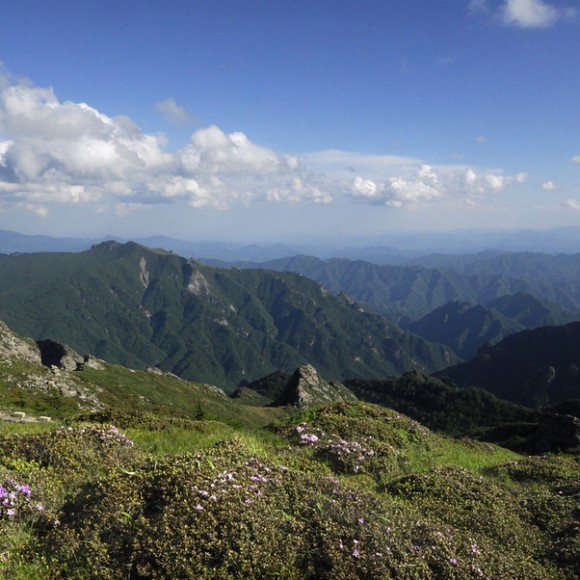 再拍大美秦岭