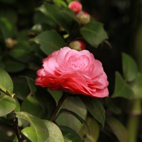 凑个热闹，各位大侠