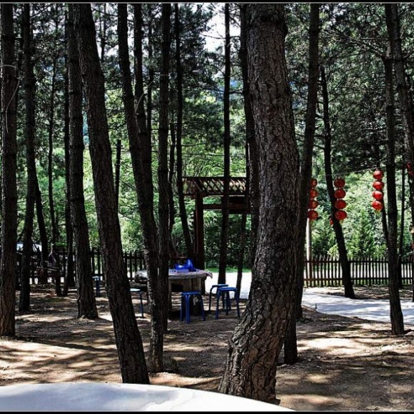 那山那水