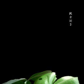 无花绿叶亦风流