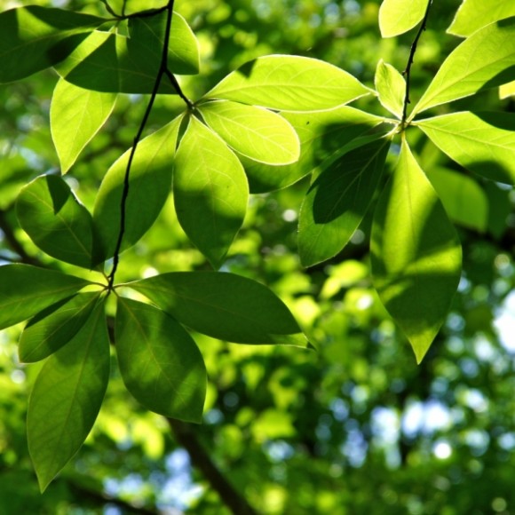 在牛背梁过自己的慢生活&《致青春自制mv》分享