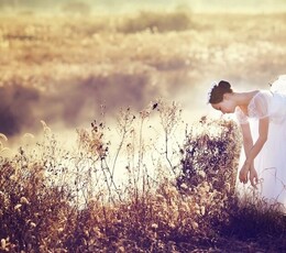 白天鹅，永远的美