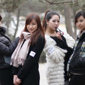 四美图