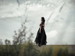 低调人像（转载）