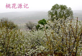 桃花源记