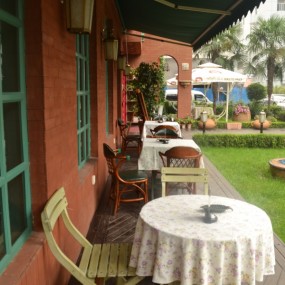 高新二路的绿茉莉！