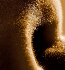 山一样静默的身体