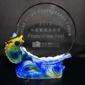 年度摄影大赛活动照片